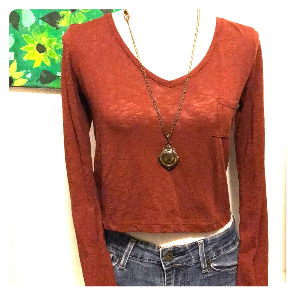 Long Sleeve Burnt Orange Crop Top